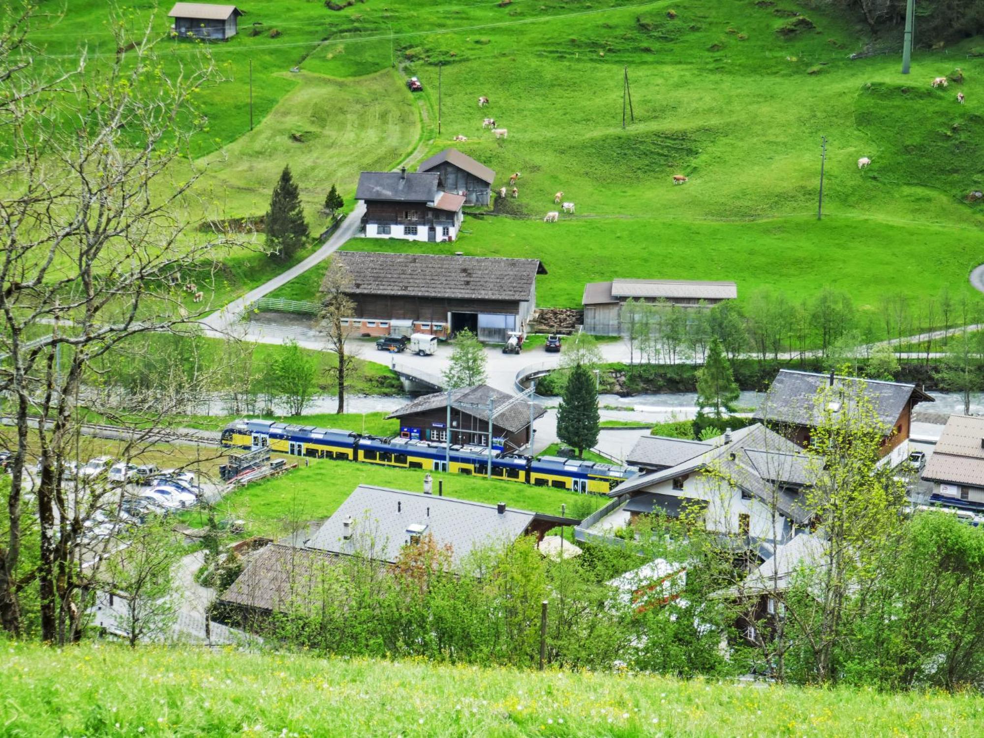 Apartment Chalet Auf Dem Vogelstein-2 By Interhome กรินเดลวัลด์ ภายนอก รูปภาพ