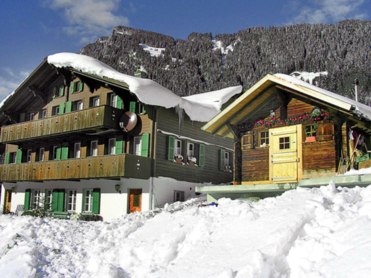 Apartment Chalet Auf Dem Vogelstein-2 By Interhome กรินเดลวัลด์ ภายนอก รูปภาพ